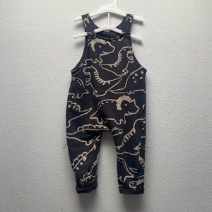 H&M Dinosaur Overalls